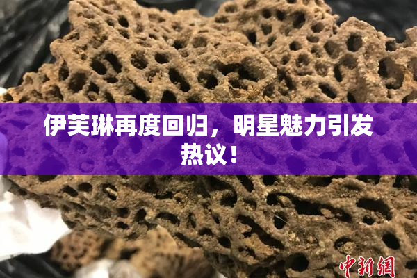 伊芙琳再度回归，明星魅力引发热议！