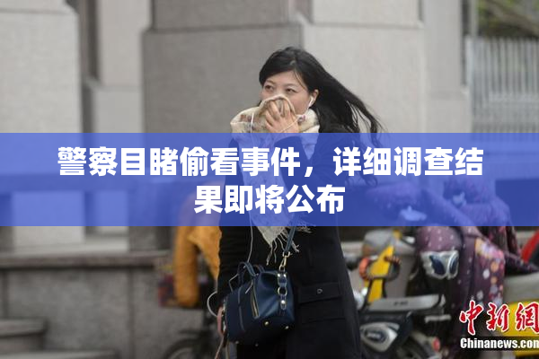 警察目睹偷看事件，详细调查结果即将公布
