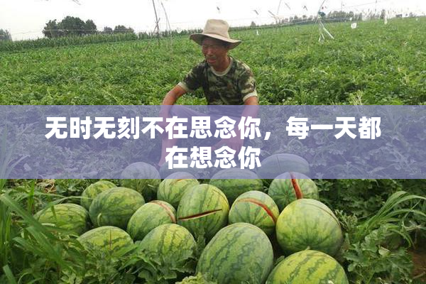 无时无刻不在思念你，每一天都在想念你