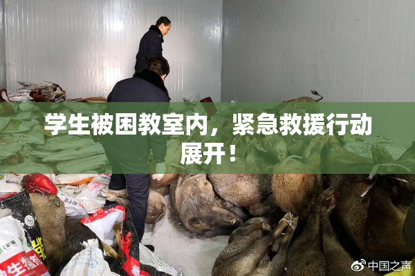 学生被困教室内，紧急救援行动展开！