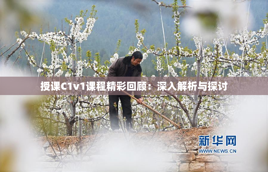 授课C1v1课程精彩回顾：深入解析与探讨