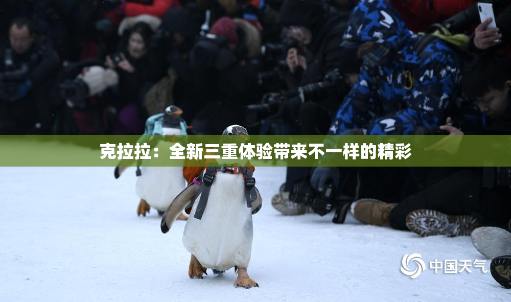 克拉拉：全新三重体验带来不一样的精彩