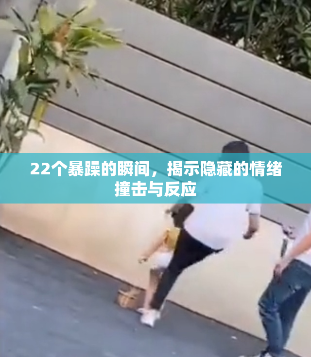 22个暴躁的瞬间，揭示隐藏的情绪撞击与反应