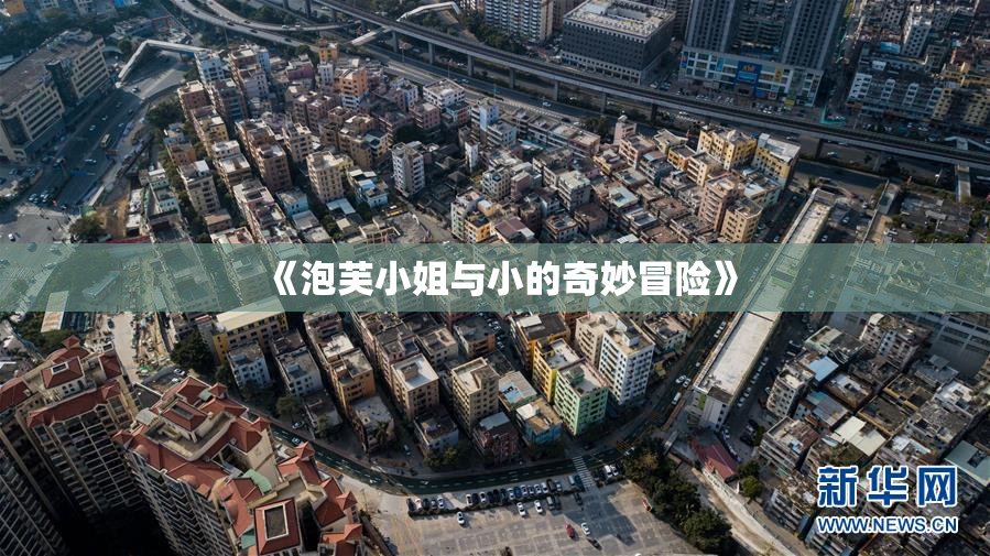 《泡芙小姐与小的奇妙冒险》