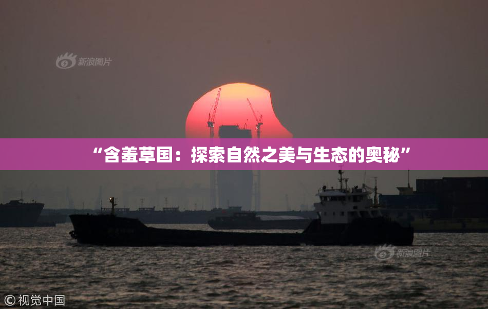“含羞草国：探索自然之美与生态的奥秘”