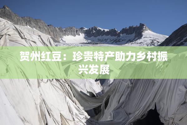 贺州红豆：珍贵特产助力乡村振兴发展