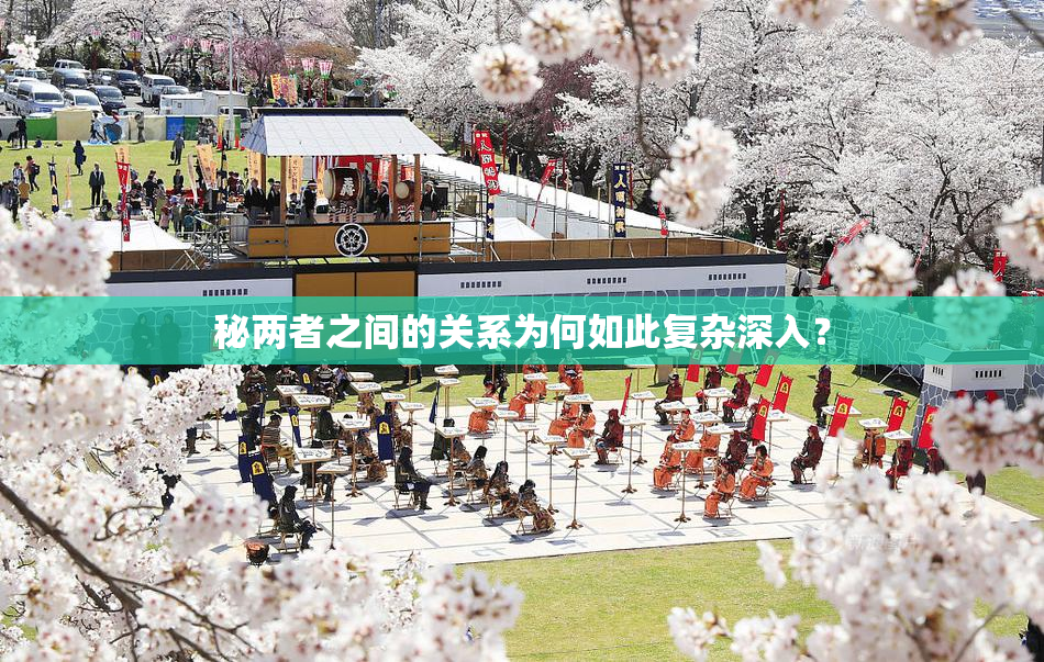秘两者之间的关系为何如此复杂深入？
