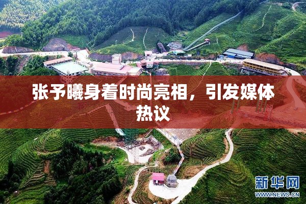 张予曦身着时尚亮相，引发媒体热议