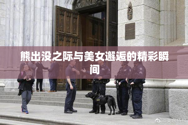 熊出没之际与美女邂逅的精彩瞬间