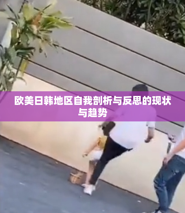 欧美日韩地区自我剖析与反思的现状与趋势