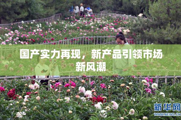 国产实力再现，新产品引领市场新风潮