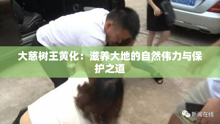 大慈树王黄化：滋养大地的自然伟力与保护之道