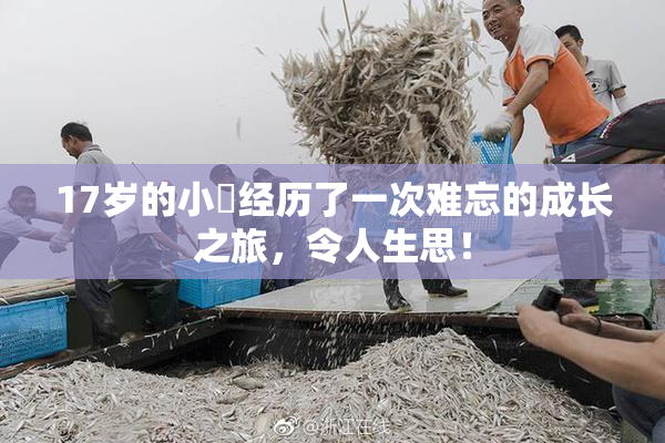17岁的小泬经历了一次难忘的成长之旅，令人生思！