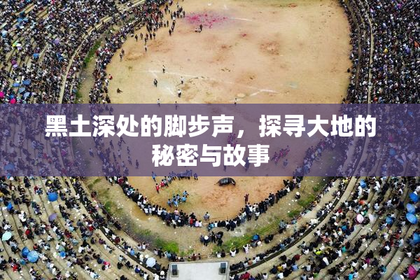 黑土深处的脚步声，探寻大地的秘密与故事