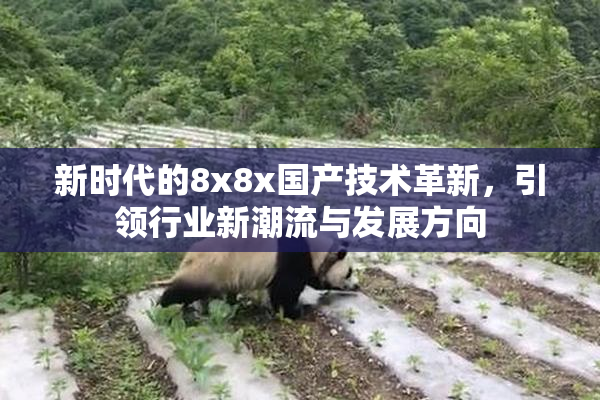新时代的8x8x国产技术革新，引领行业新潮流与发展方向