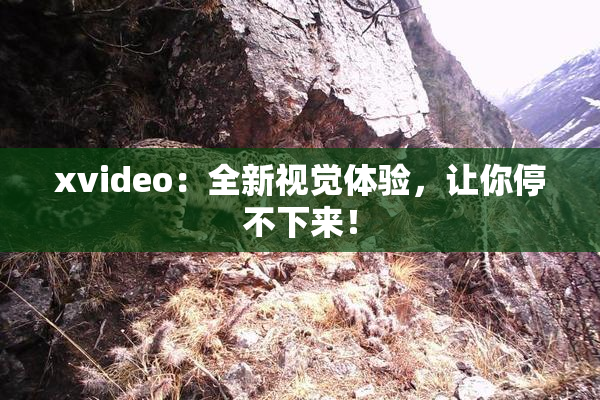 xvideo：全新视觉体验，让你停不下来！
