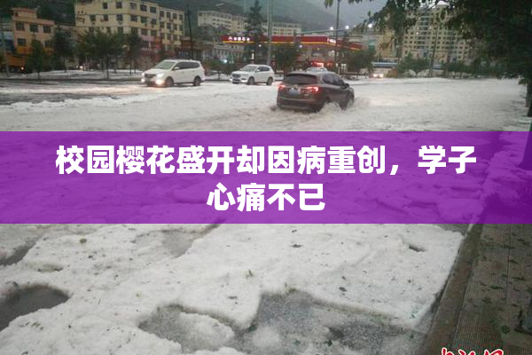 校园樱花盛开却因病重创，学子心痛不已