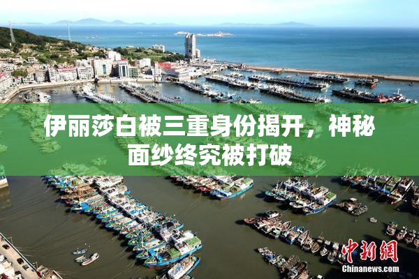 伊丽莎白被三重身份揭开，神秘面纱终究被打破