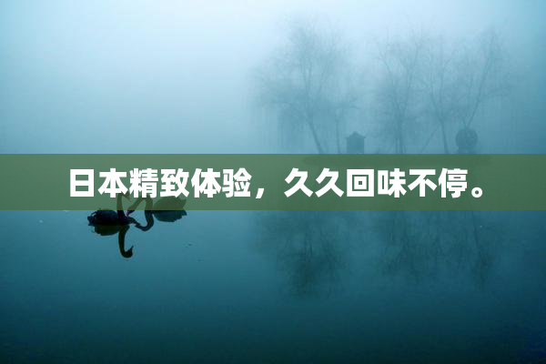 日本精致体验，久久回味不停。