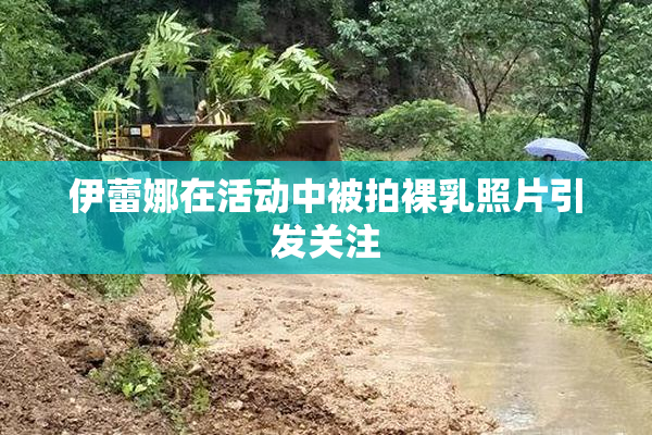 伊蕾娜在活动中被拍裸乳照片引发关注