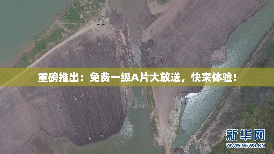 重磅推出：免费一级A片大放送，快来体验！