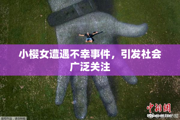 小樱女遭遇不幸事件，引发社会广泛关注