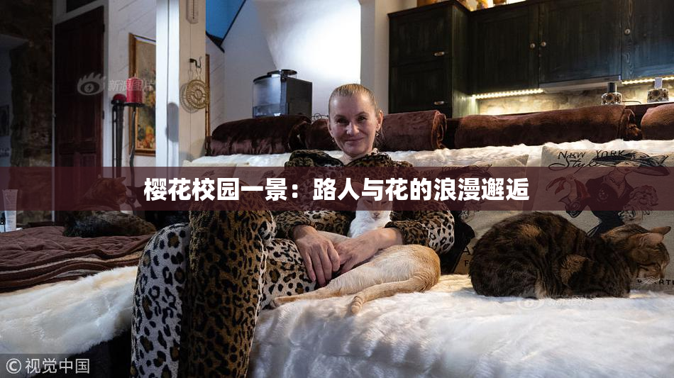 樱花校园一景：路人与花的浪漫邂逅