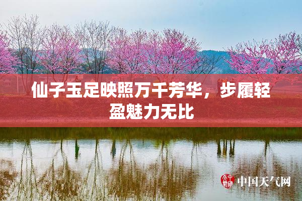 仙子玉足映照万千芳华，步履轻盈魅力无比