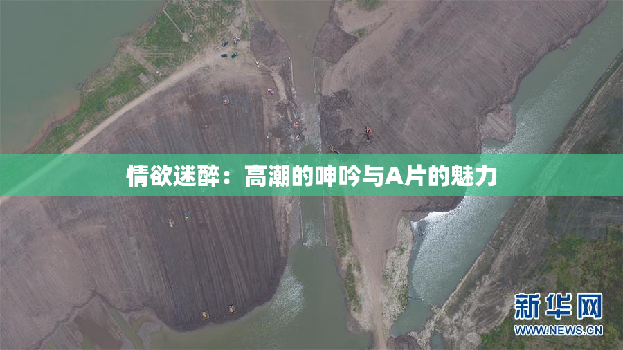 情欲迷醉：高潮的呻吟与A片的魅力