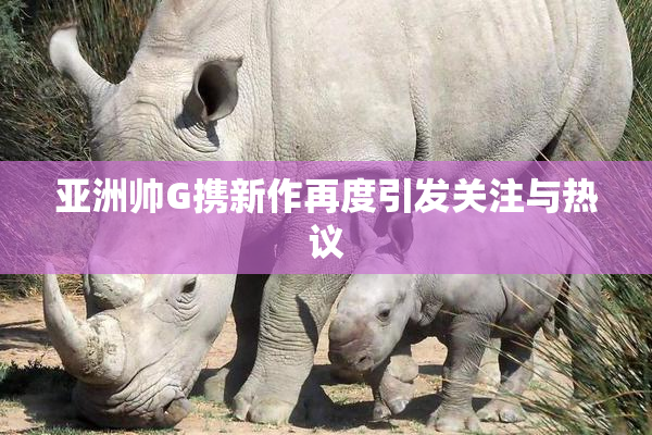 亚洲帅G携新作再度引发关注与热议