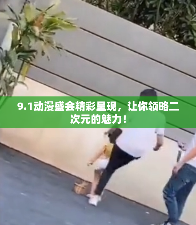 9.1动漫盛会精彩呈现，让你领略二次元的魅力！