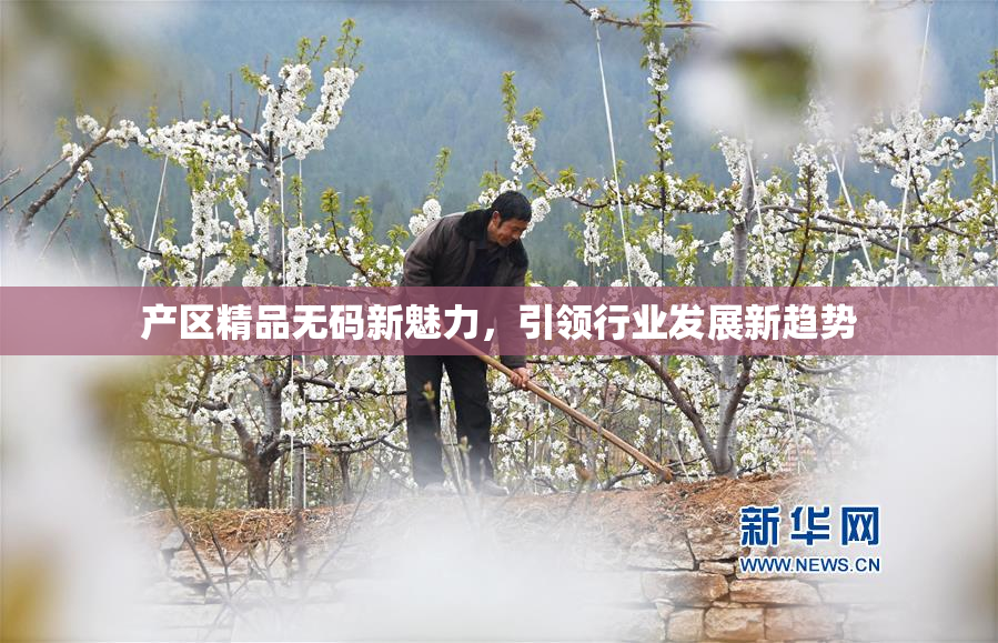 产区精品无码新魅力，引领行业发展新趋势