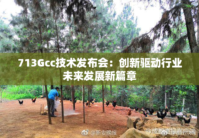 713Gcc技术发布会：创新驱动行业未来发展新篇章