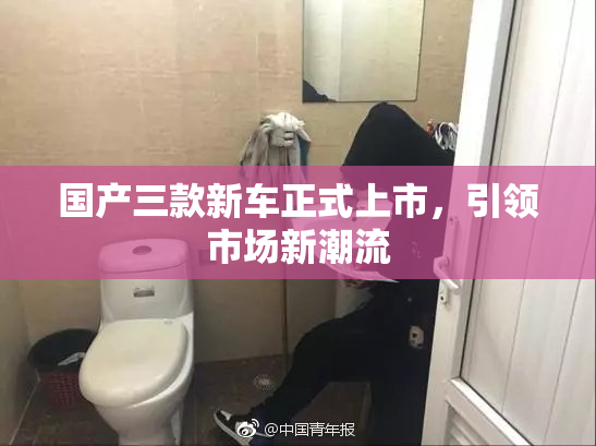 国产三款新车正式上市，引领市场新潮流
