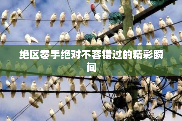 绝区零手绝对不容错过的精彩瞬间