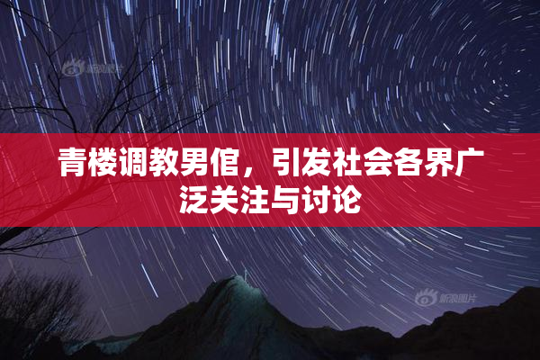 青楼调教男倌，引发社会各界广泛关注与讨论