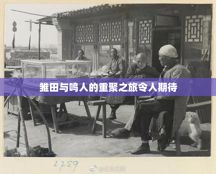 雏田与鸣人的重聚之旅令人期待