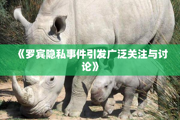 《罗宾隐私事件引发广泛关注与讨论》