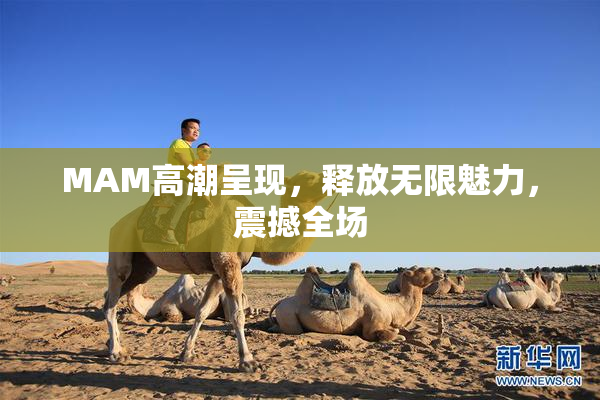 MAM高潮呈现，释放无限魅力，震撼全场