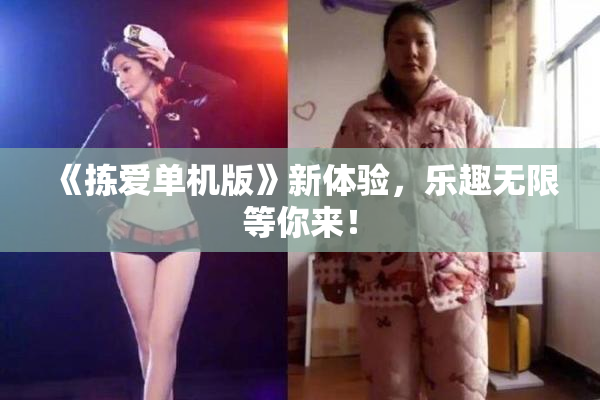 《拣爱单机版》新体验，乐趣无限等你来！