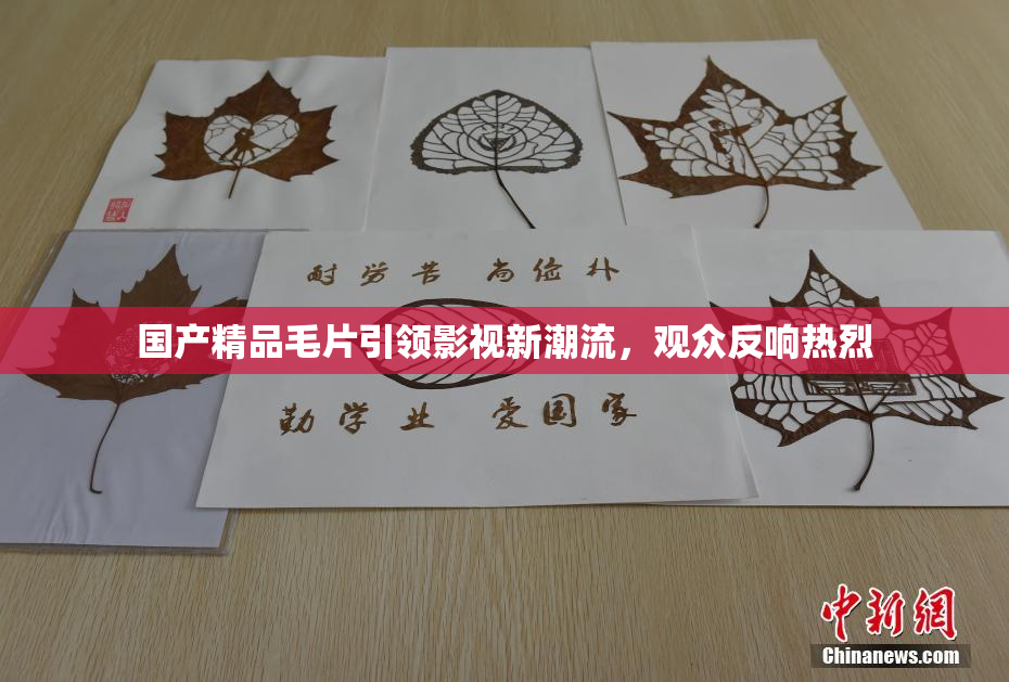 国产精品毛片引领影视新潮流，观众反响热烈