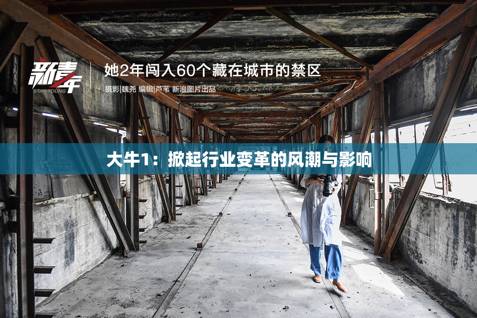 大牛1：掀起行业变革的风潮与影响