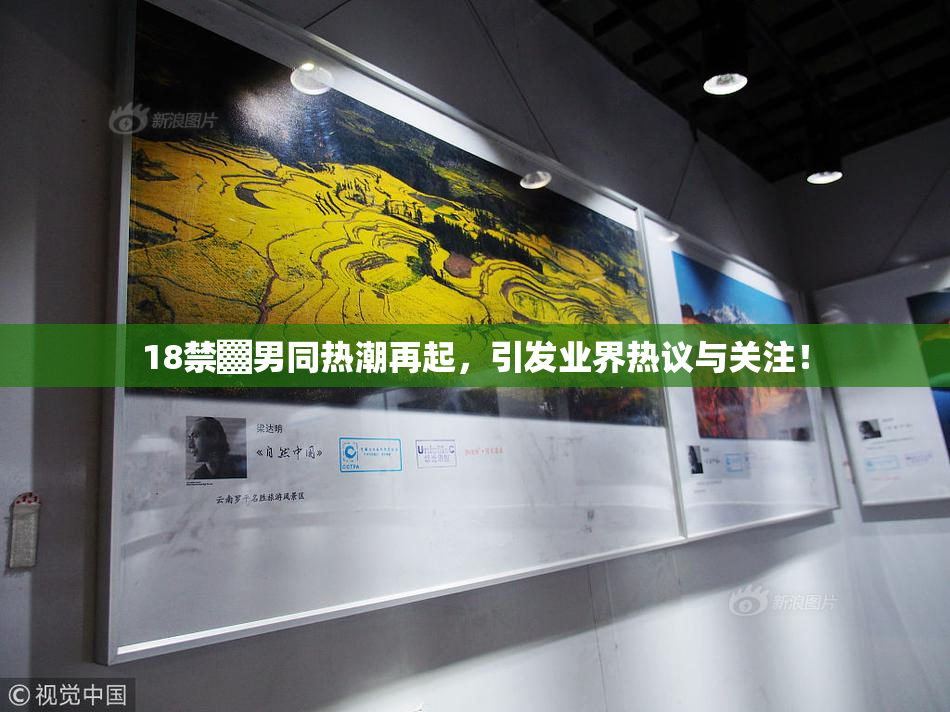 18禁▓男同热潮再起，引发业界热议与关注！