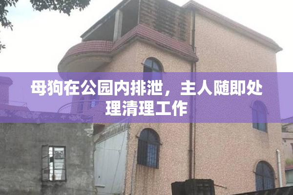 母狗在公园内排泄，主人随即处理清理工作