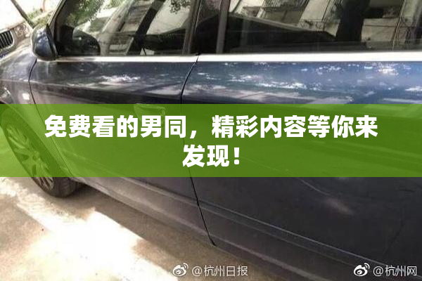 免费看的男同，精彩内容等你来发现！