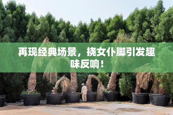 再现经典场景，挠女仆脚引发趣味反响！