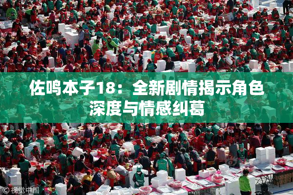 佐鸣本子18：全新剧情揭示角色深度与情感纠葛