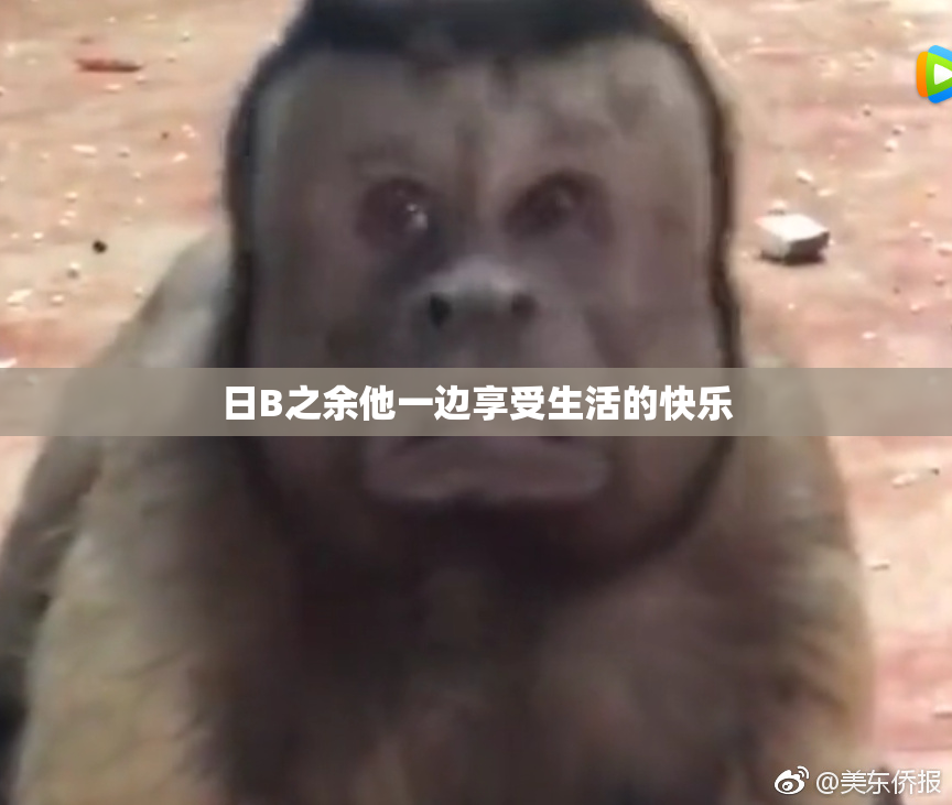 日B之余他一边享受生活的快乐