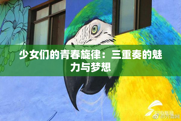 少女们的青春旋律：三重奏的魅力与梦想
