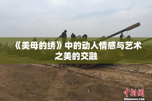 《美母的绣》中的动人情感与艺术之美的交融